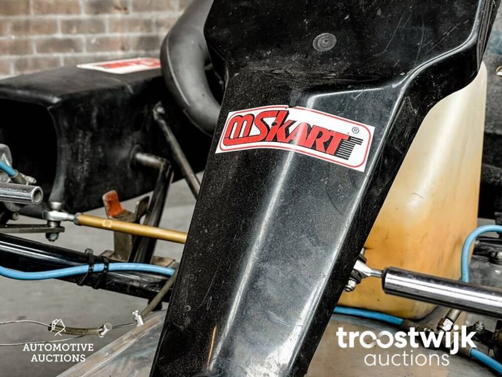 MS Racing kart MS Racing kart