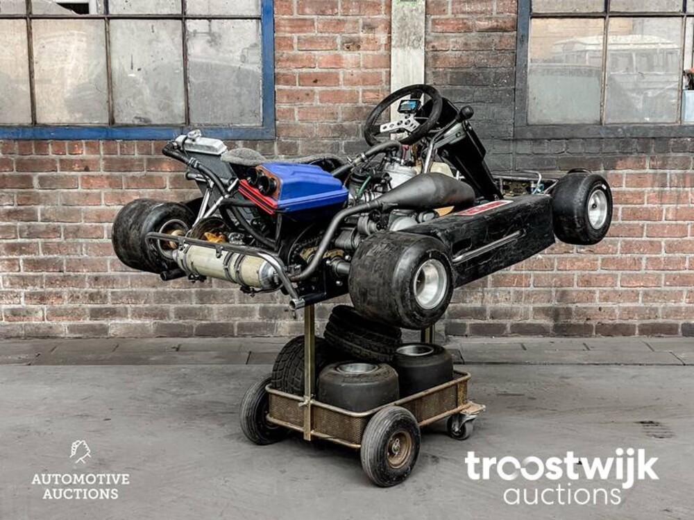 MS Racing kart MS Racing kart