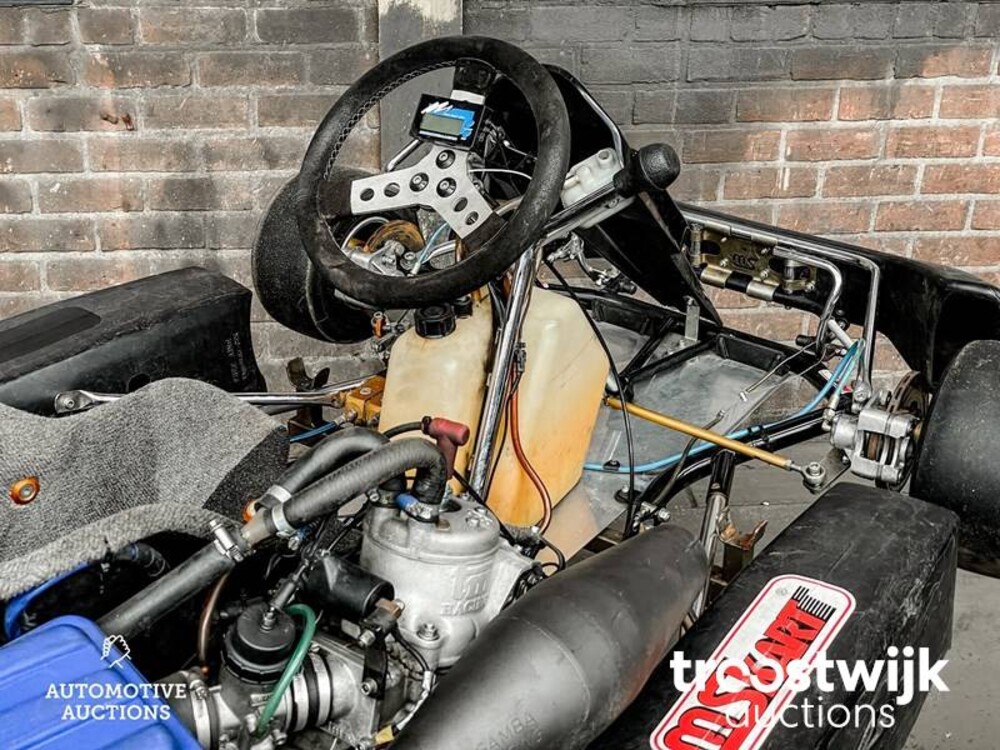 MS Racing kart MS Racing kart