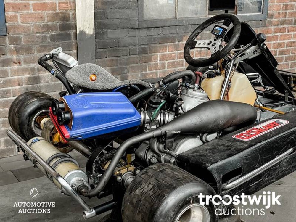 MS Racing kart MS Racing kart