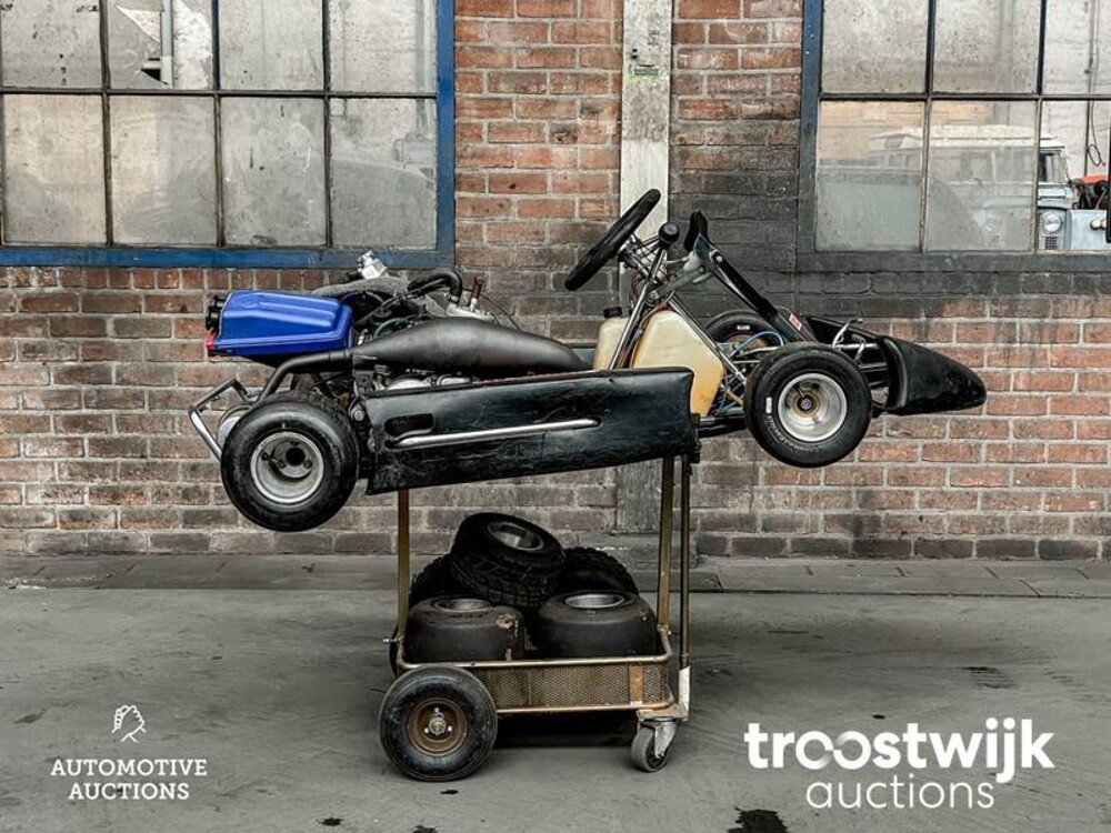 MS Racing kart MS Racing kart