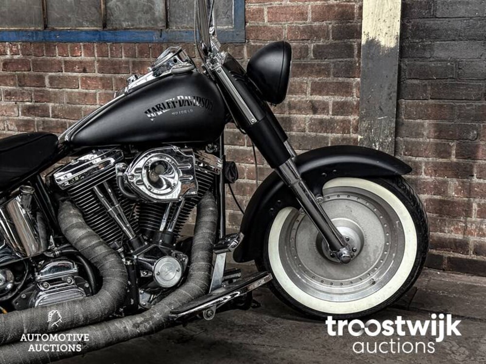 Harley Davidson zelfbouw Softail 2009, MV-JP-95