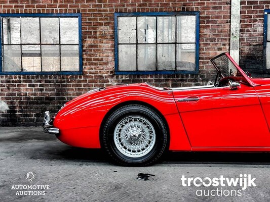 Austin Healey BN7 3000 MK 1 Cabriolet 125hp 1960, DH-76-27