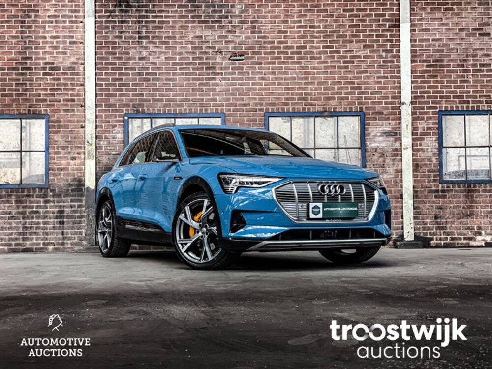 Audi e-tron 55 Sport Quattro Advanced Pro Line Plus 95 kWh 2018, K-877 FERNSEHER