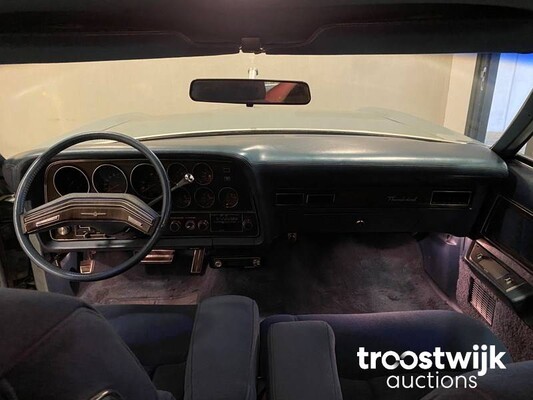 Ford Thunderbird Diamont Jubilee Edition 151 PS 1978, NS-593-R