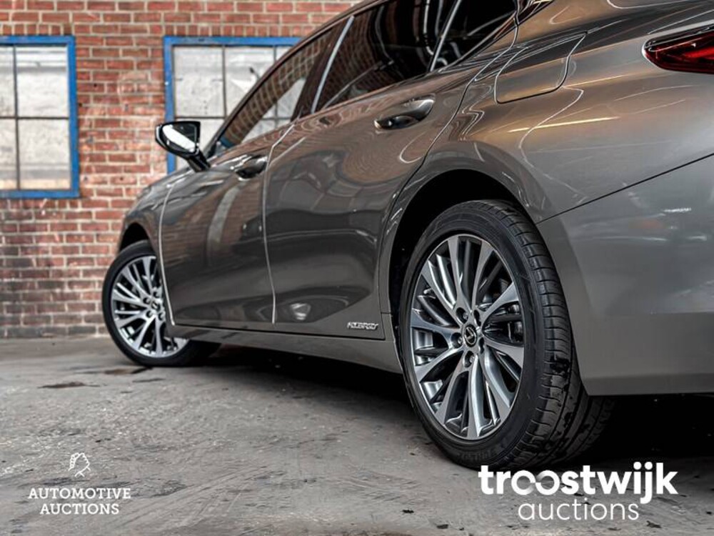Lexus ES300 2.5 Hybrid 215 PS 2020