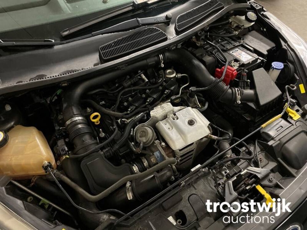 Ford Fiesta 1.0 EcoBoost Titanium X 125 PS 2015, R-050-JR