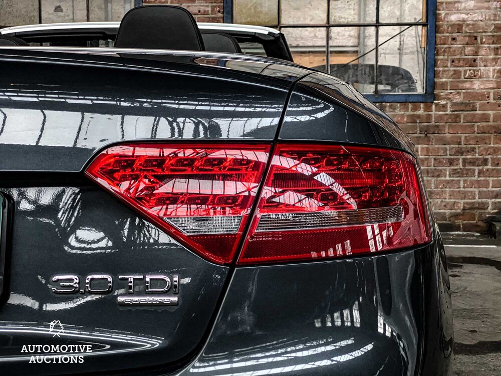 Audi A5 Cabriolet 3.0 TDI quattro Pro Line 239hp 2009, 45-RTB-6