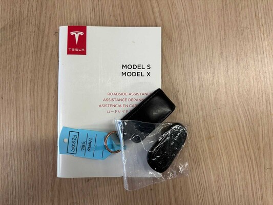 Tesla Model S 100D FACELIFT 417pk 2018 ORIG-NL, SX-552-J