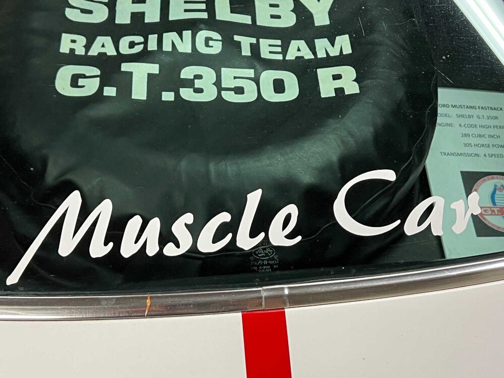 Ford Mustang Fastback V8 Shelby GT350 Tribute 1965, DH-04-74