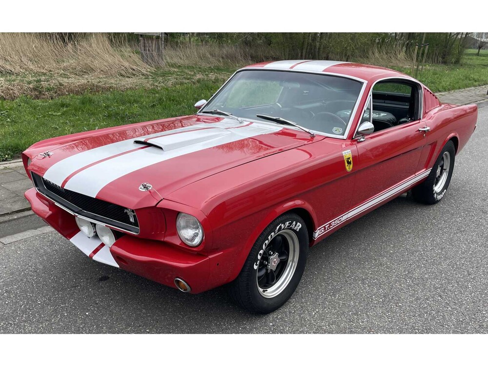 Ford Mustang Fastback V8 Shelby GT350 Tribute 1965, DH-04-74