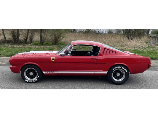 Ford Mustang Fastback V8 Shelby GT350 Tribute 1965, DH-04-74