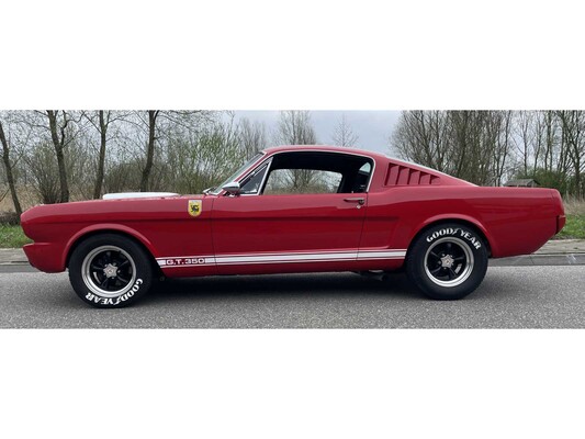 Ford Mustang Fastback V8 Shelby GT350 Tribute 1965, DH-04-74