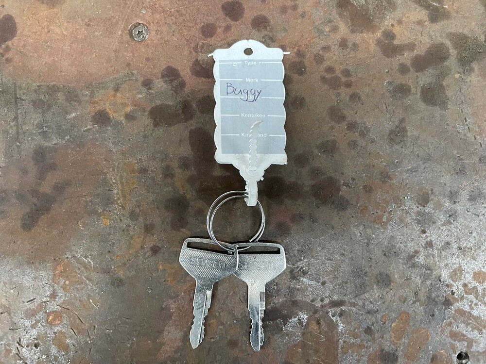 Bizzarrini Dubai Sand Rail Buggy 3.0 V6 300pk 2016