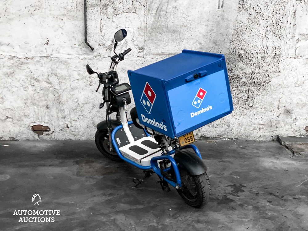 Electric Dutchman Pro 45 Bromscooter Scooter 2019, DVB-05-B