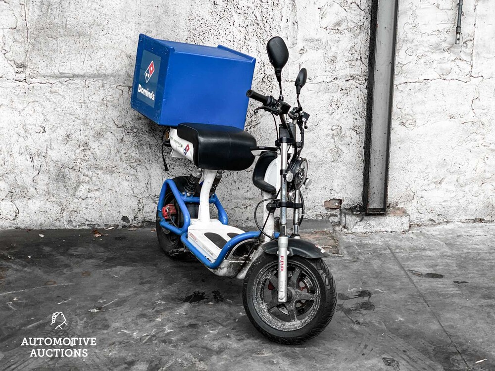 Elektro Dutchman Pro 45 Moped Roller 2020, FFK-74-R