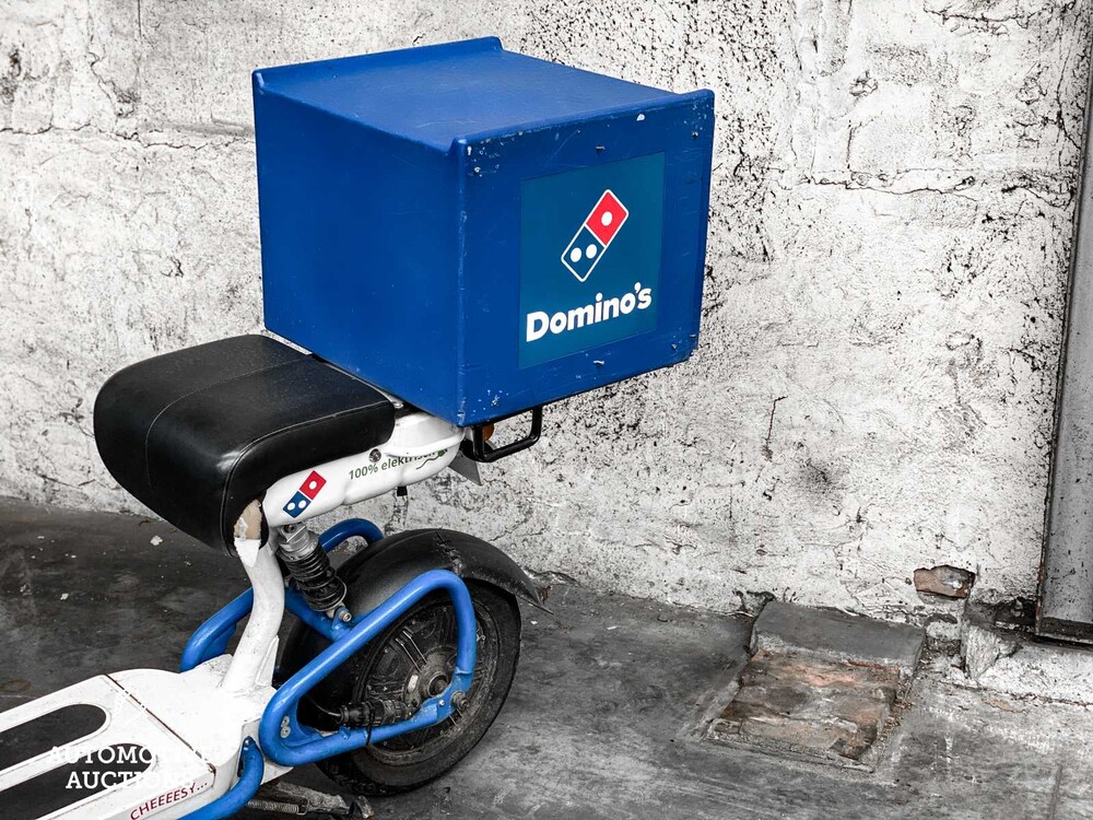 Elektro Dutchman Pro 45 Moped Roller 2020, FFK-74-R