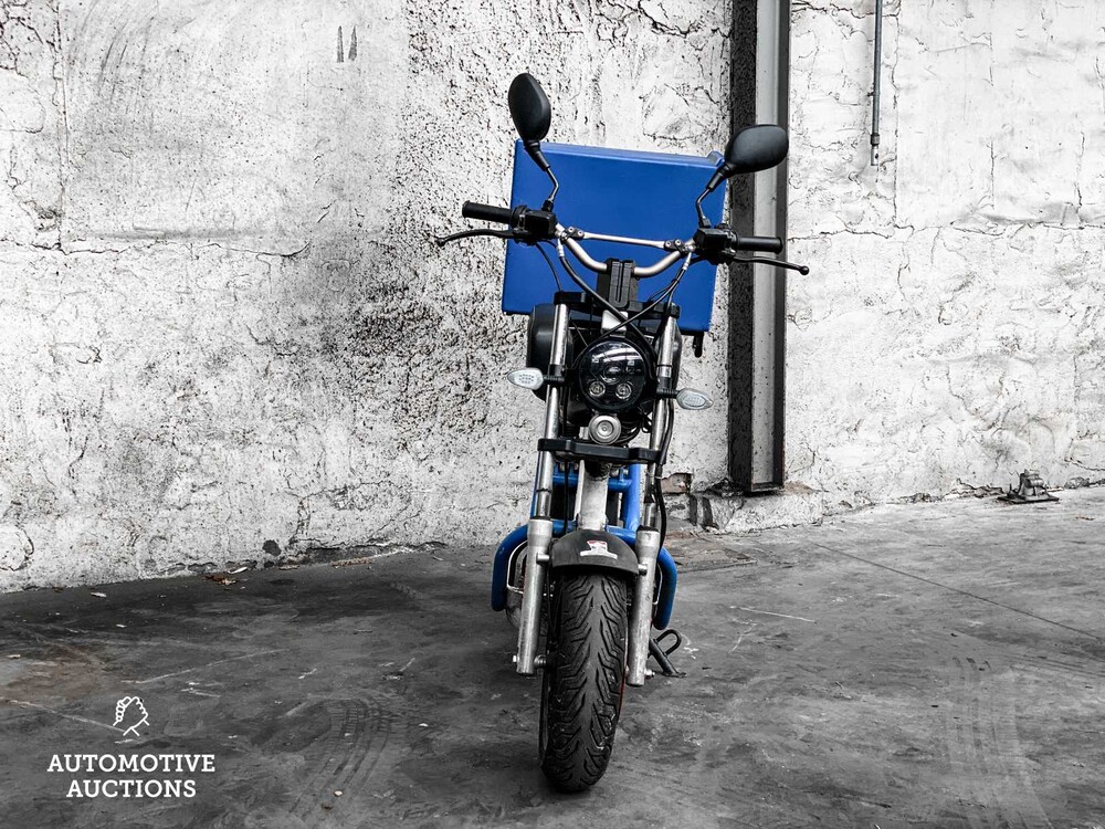 Elektro Dutchman Pro 45 Moped Roller 2020, FFK-74-R