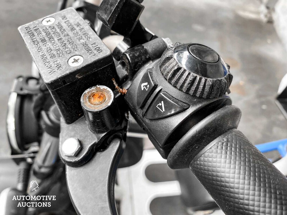 Elektro Dutchman Pro 45 Moped Roller 2020, FFK-74-R