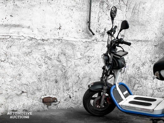 Electric Dutchman Pro 45 Moped Scooter 2020, FFK-74-R