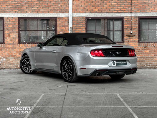 Ford Mustang Cabriolet 2.3 Ecoboost 290hp 2019