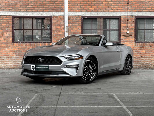 Ford Mustang Cabriolet 2.3 Ecoboost 290PS 2019