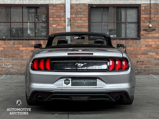 Ford Mustang Cabriolet 2.3 Ecoboost 290PS 2019