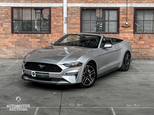 Ford Mustang Cabriolet 2.3 Ecoboost 290PS 2019