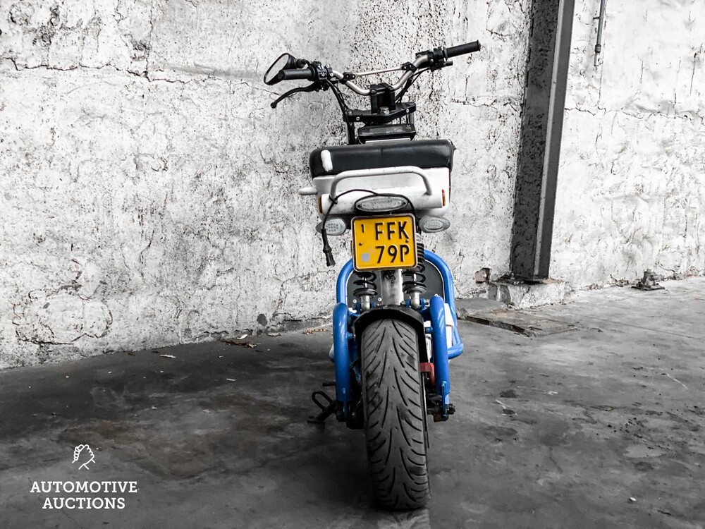 Electric Dutchman Pro 45 Bromscooter Scooter 2020, FFK-79-P