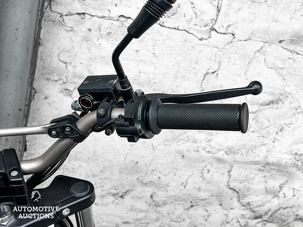 Electric Dutchman Pro 45 Bromscooter Scooter 2020, FDV-21-N