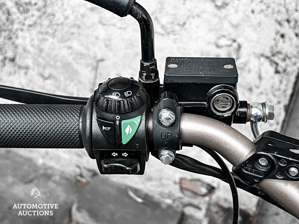 Electric Dutchman Pro 45 Bromscooter Scooter 2020, FDV-21-N