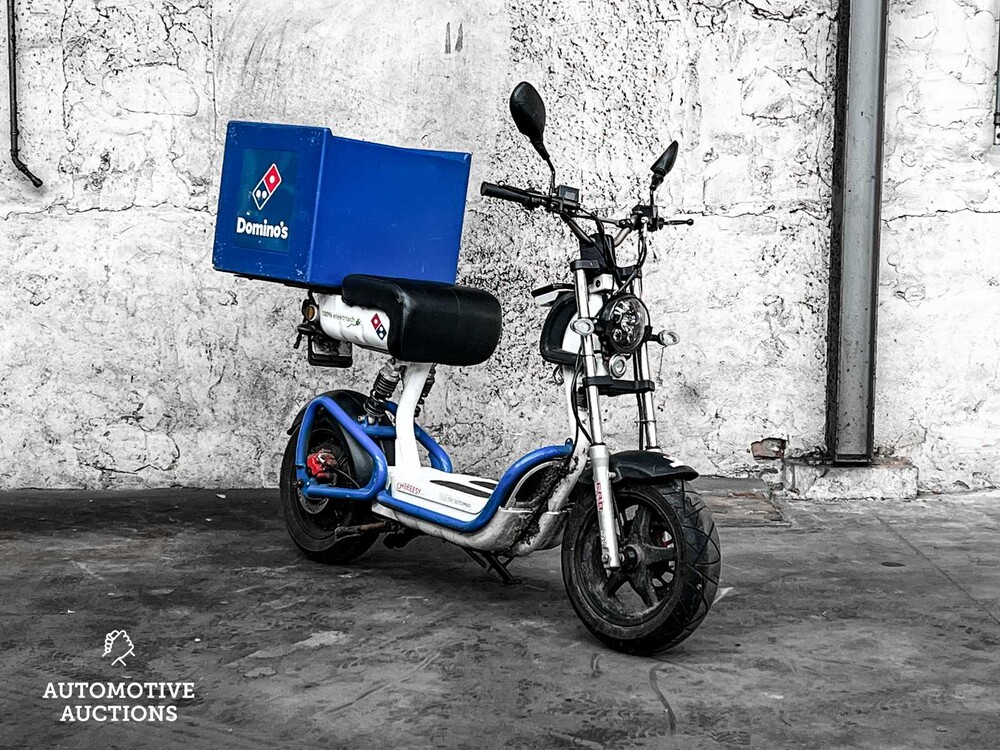 Electric Dutchman Pro 45 Bromscooter Scooter 2020, FDV-21-N
