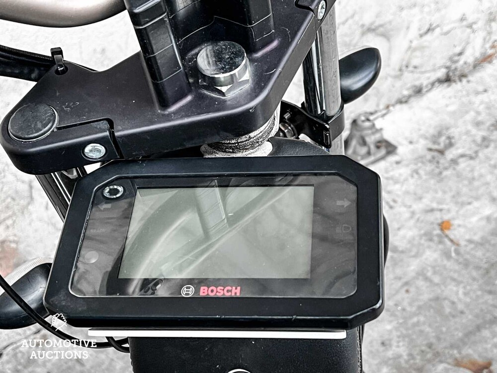 Electric Dutchman Pro 45 Bromscooter Scooter 2020, FDV-21-N