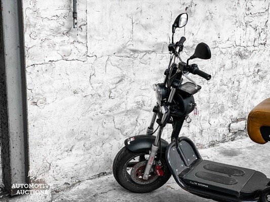 Electric Dutchman PRO 45 Bromscooter Scooter 2021, FHD-81-K