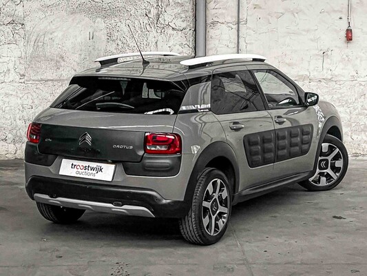 Citroen C4 Cactus 1.2 PureTech Business Plus 110pk 2016, P-078-JS