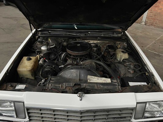 Buick Century 142hp 1981, GL-24-PL