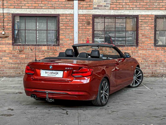 BMW 220i Cabriolet High Executive 184hp 2018 (Original-NL + 1st Owner) F23 2-Series, TT-870-G