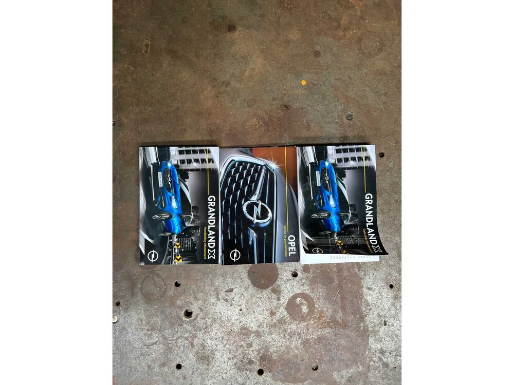 Opel Grandland X 1.5 CDTi Business Executive 131PS 2019 -Fertigmodell NL-, XS-181-B