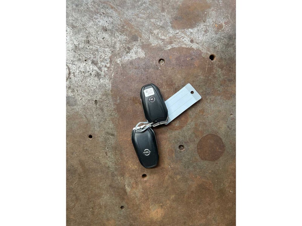 Opel Grandland X 1.5 CDTi Business Executive 131PS 2019 -Fertigmodell NL-, XS-181-B