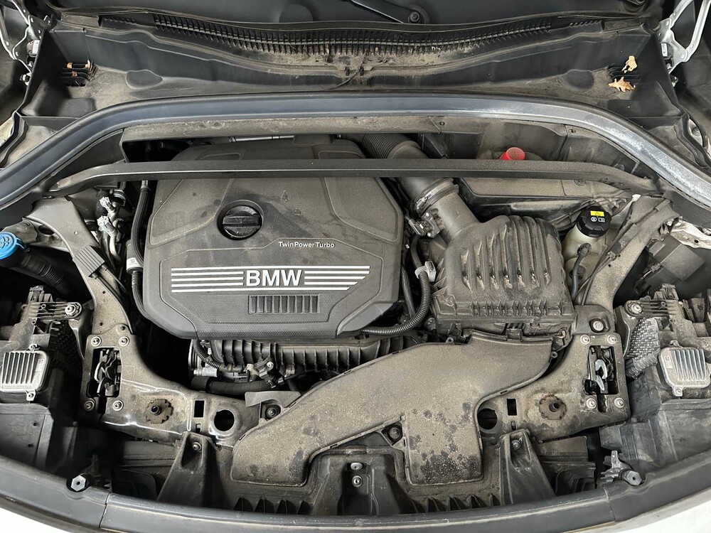 BMW X2 sDrive18i Executive Edition F39 140PS 2020, G-367-ZN