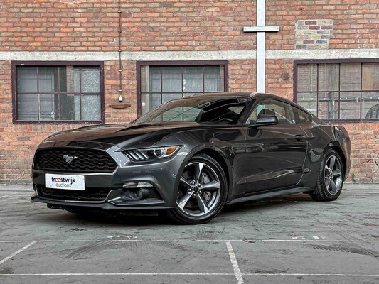 Luxury & sports cars in Boxmeer