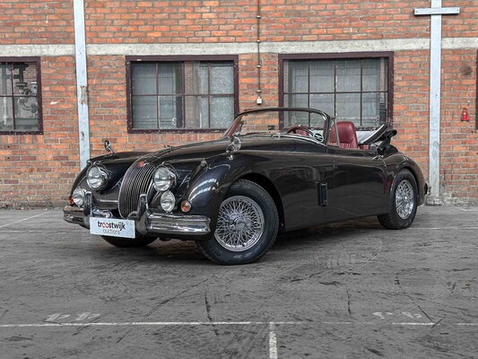 Young- & Oldtimer in Boxmeer