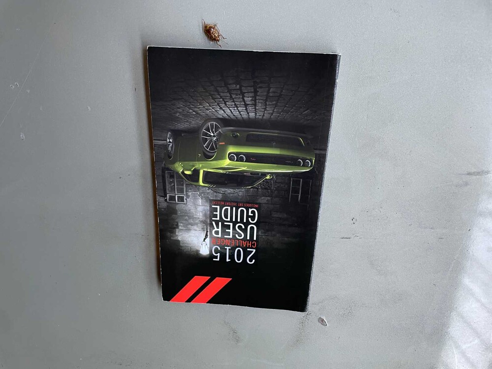 Dodge Challenger SXT 3.6 V6 305pk 2016