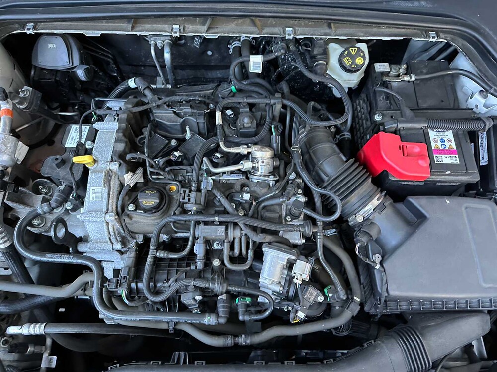 Ford Focus 1.0 EcoB. Tit. XBns 125hp 2022, N-233-TV