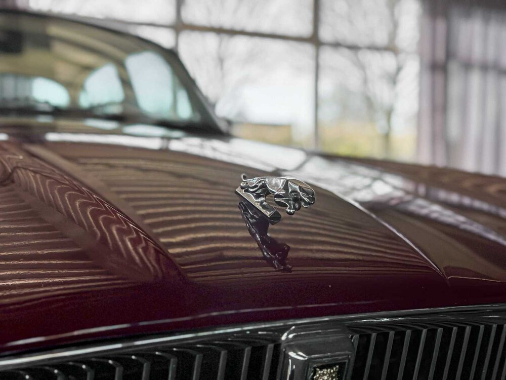 Jaguar XJ12 5.3 V12 Serie 1 265PS 1973