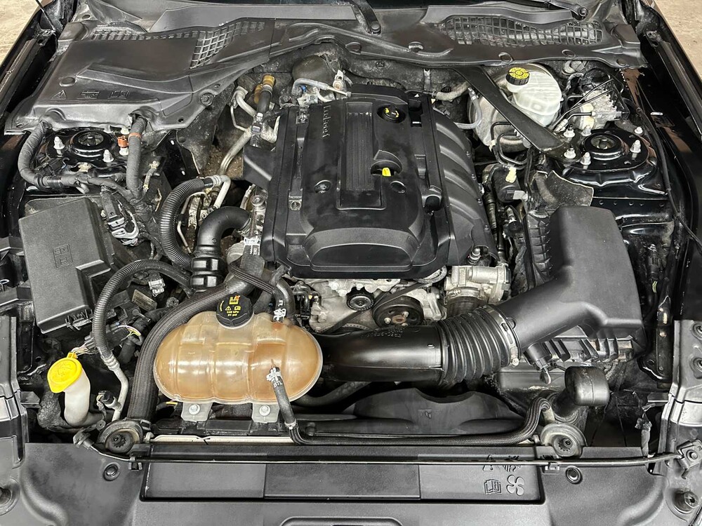 Ford Mustang Ecoboost Cabriolet 290pk 2019