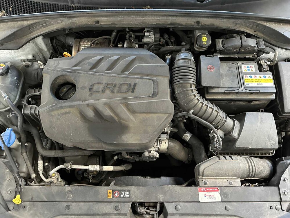 Kia CEED CD+ 1.6 116pk 2020