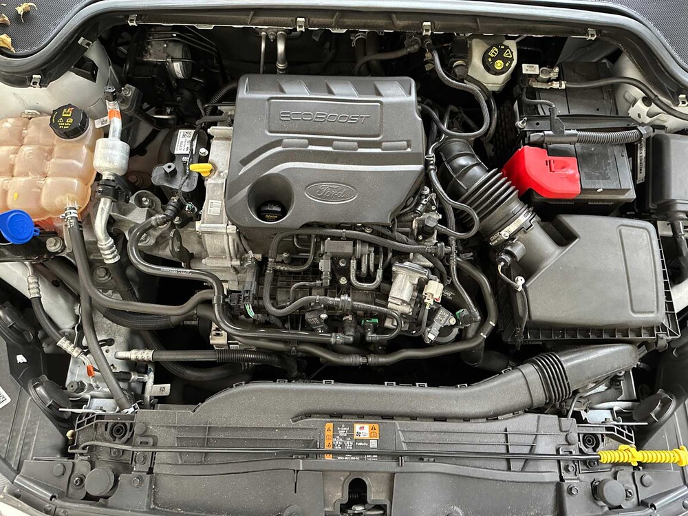 Ford Focus Wagon 1.0 EcoBoost Trend Edition Business 2019 (Org-NL & eerste eigenaar), G-954-KJ