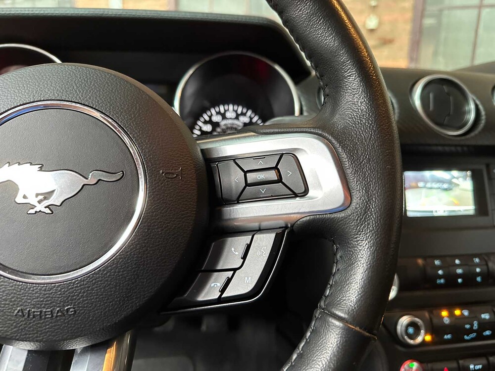 Ford Mustang EcoBoost (Handgeschakeld) 290pk 2020