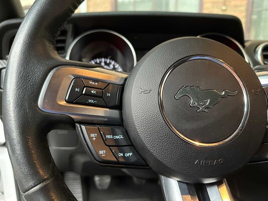 Ford Mustang EcoBoost (Handgeschakeld) 290pk 2020